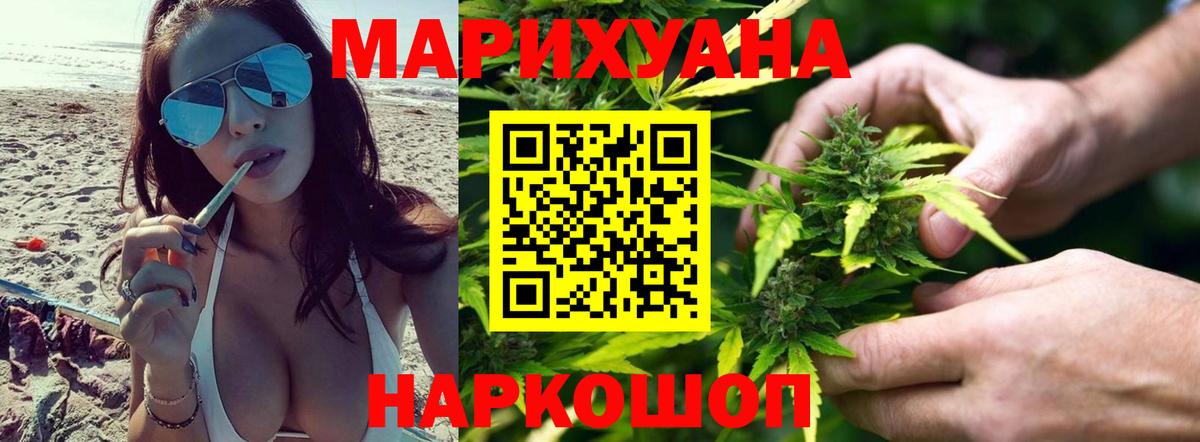 Марихуана гибрид Тара